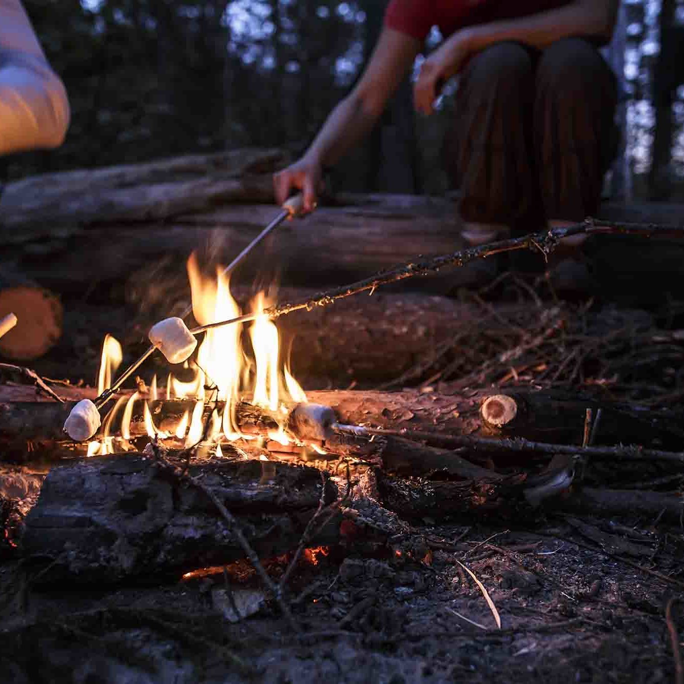 Company of friends fries delicious marshmallows on a bonfire, on a warm summer evening in the woods.